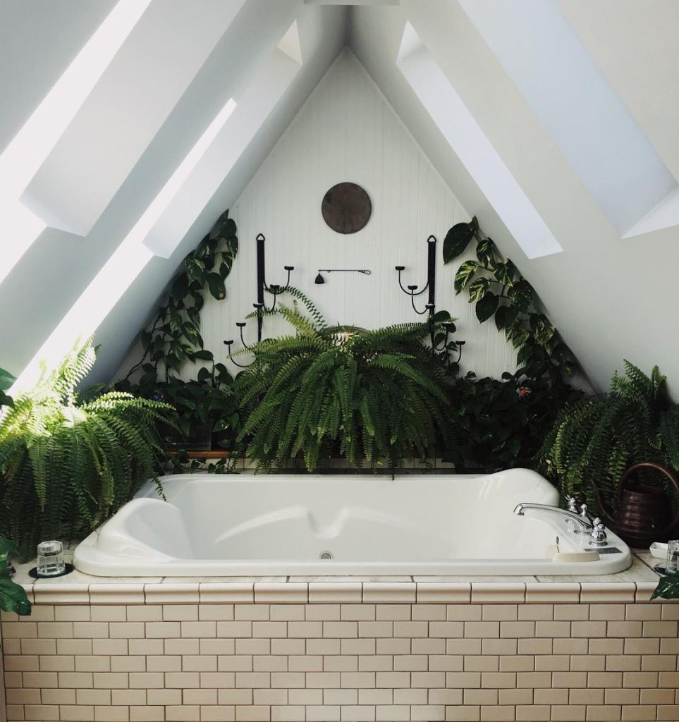 Attic bathroom with skylights, ferns, and natural light creating a tropical vibe.
