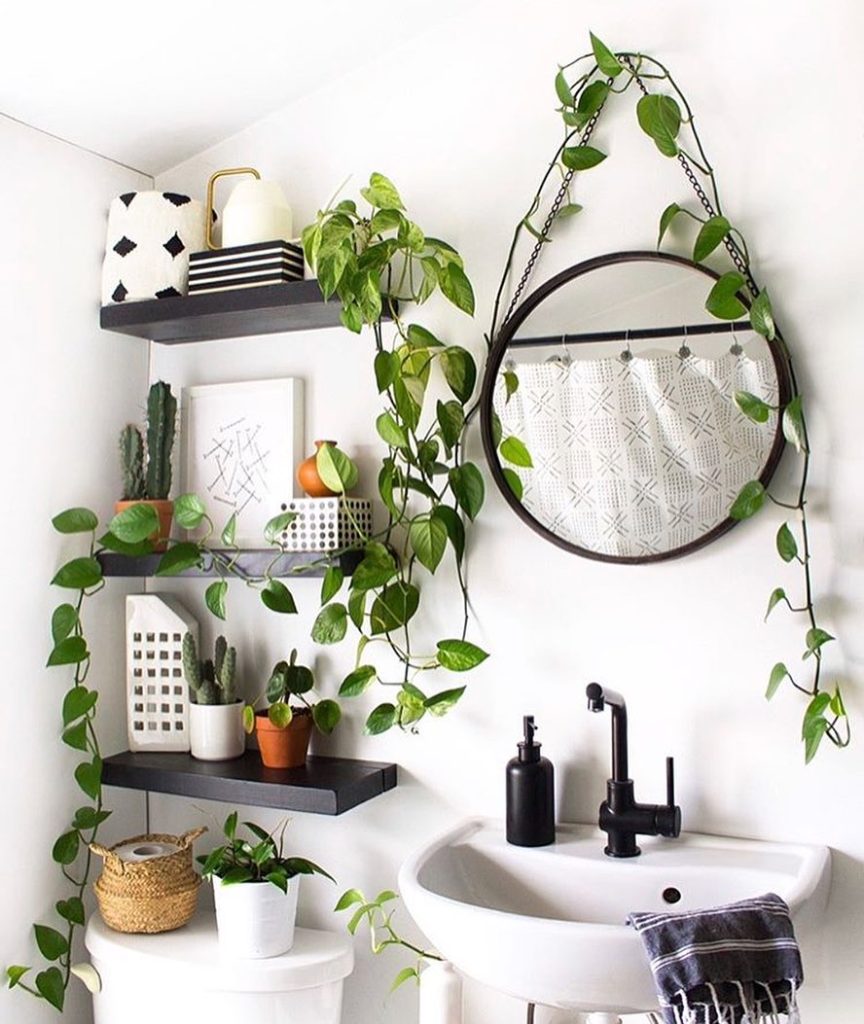 Compact bathroom featuring trailing vines, open shelving, and modern decor.
