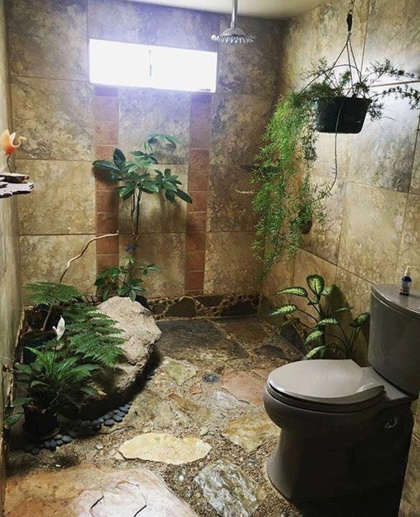 Bathroom with stone flooring, natural greenery, and a rainfall shower.
