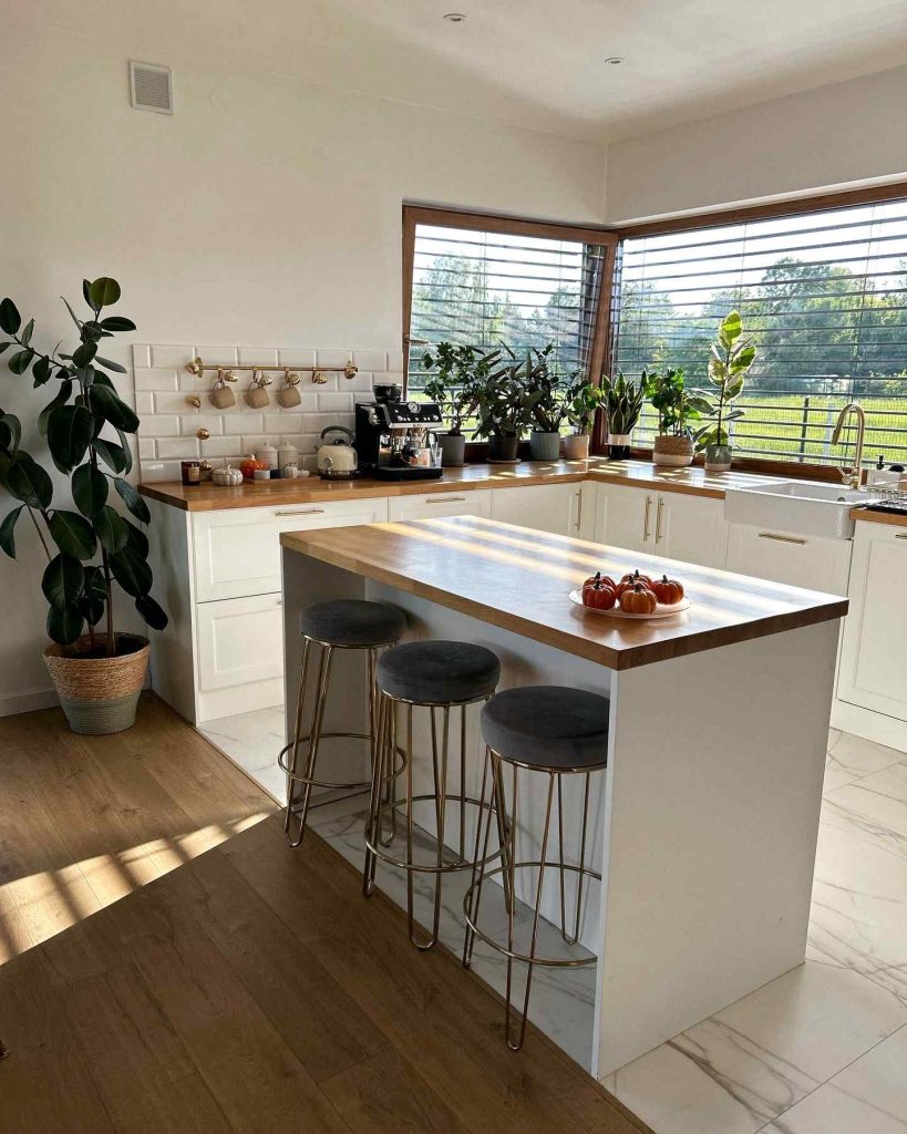 Sunlit kitchen with greenery and wooden accents.
