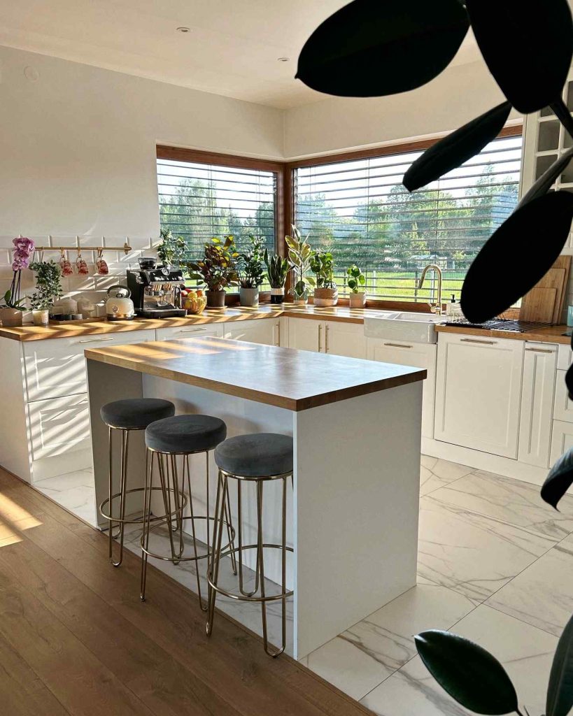 Open kitchen filled with plants and natural light.
