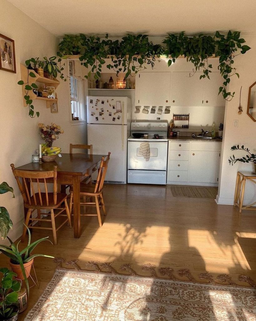 Bright bohemian kitchen with hanging plants and natural light.
